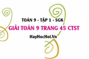 Giải Toán 9 trang 45 tập 1 Chân trời sáng tạo SGK